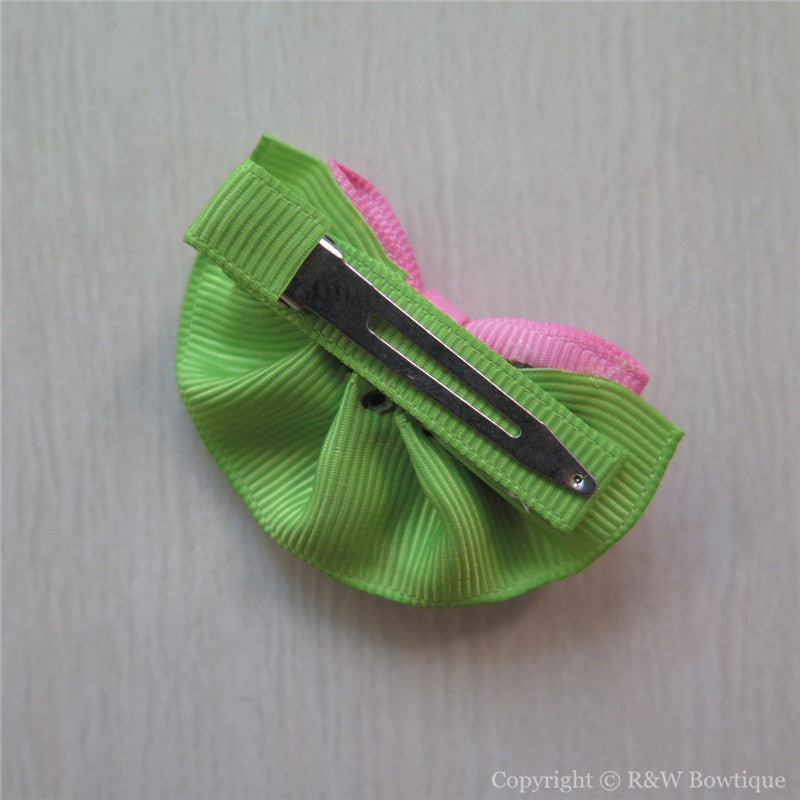 Watermelon #D Sculptured Hair Clip