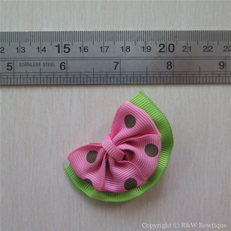 Watermelon #D Sculptured Hair Clip